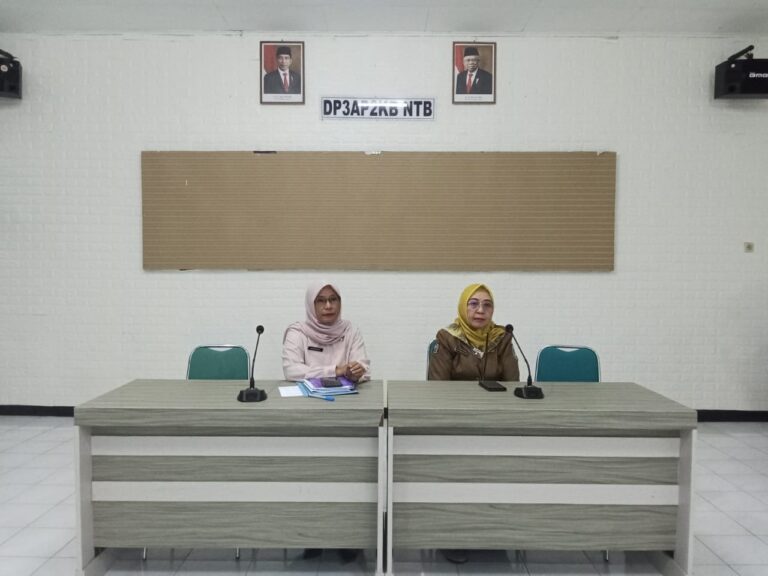 DP3AP2KB Melaksanakan Evaluasi dan Verifikasi Administrasi Kab/Kota Layak Anak (KLA) Tahun 2024